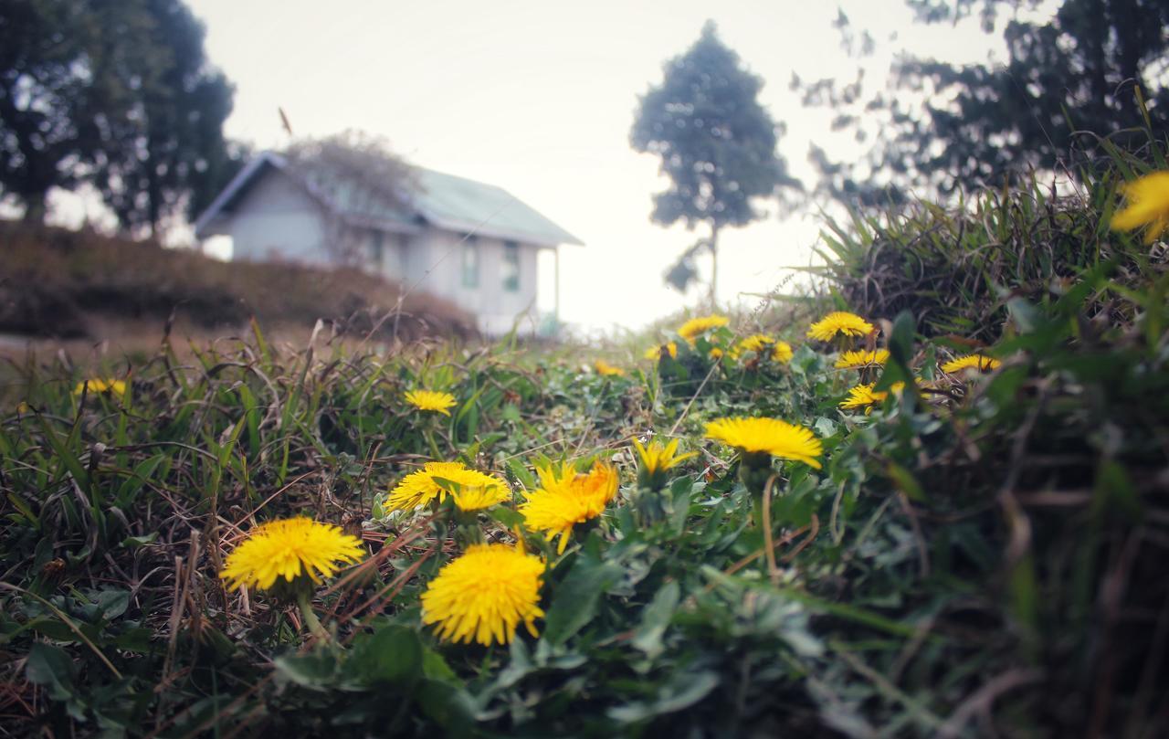 Neora Valley Retreat Hotel Rishop ภายนอก รูปภาพ